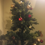 ボン ガルフォ - 