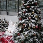 港澳義順牛奶公司 - 