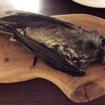 deco - ヒヨドリ。アミューズのパテです。