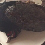 deco - キジ。テリーヌです