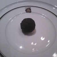 Terres de Truffes, Tokyo - インカの目覚めトリュフ