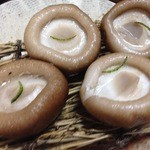 旬のさかな総 - H.27.9.4.夜 生椎茸