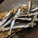 旬のさかな総 - H.27.9.4.夜 めざし