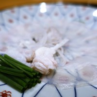 まき村 - 河豚薄造り　　　
                　浅葱、ちり酢