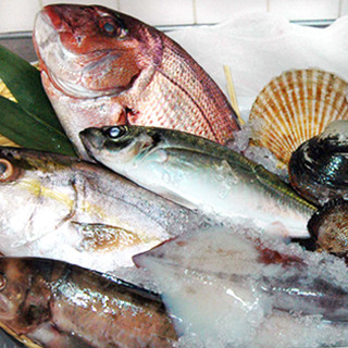 【豊洲直送のこだわり鮮魚】毎月変わる今月の鮮魚