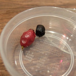 Variante - 201512 今回いただいた森鳩の消化器官に残っていた木の実だそう。