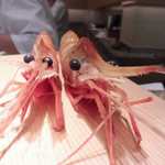 築地すし好 JIN仁 - ボタン海老