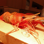 築地すし好 JIN仁 - ボタン海老