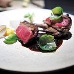 エクアトゥール - ラカン産鳩