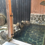 湯元館 - お湯も42℃とちょうど良い