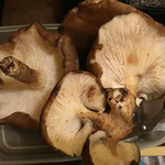 湯元館 - 巨大な椎茸