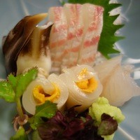 割烹 白鷹 - 