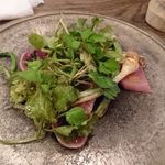 organ - 歯鰹のマリネ　山菜のフリット、生海苔のコンディマン