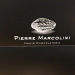 ピエール マルコリーニ - 