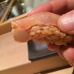 匠 進吾 - カンパチ 赤酢