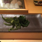 匠 進吾 - ワカメと海ぶどう