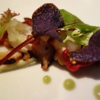 TRATTORIA CREATTA - 