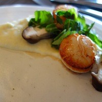 Wattle Tokyo - 