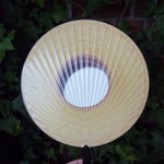 クラブハリエ - ってことで、バウム？？