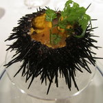 シャトン - 雲丹アップ