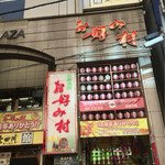 紀乃国屋ぶんちゃん - 