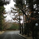 招福樓 - 紅葉色づくお庭