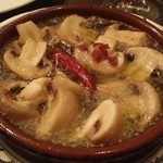 イリア・クエスタ - 