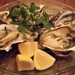 REGIONALE - （2015年12月夜再訪）