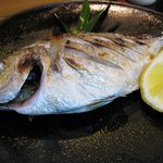 寿司と地魚料理　大徳家 - カイワリ（2010年7月）