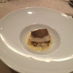 セル ドール - 鯛