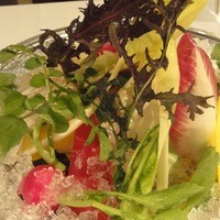 カーザ ヴィニタリア - 