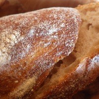 Benoit Alain Ducasse - 