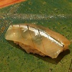 すし 市松 - 鮨　さより