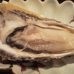 はらまさ - 生牡蠣