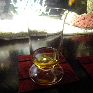 バーキャンベルタウン_1