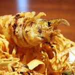 ル スプートニク - ワカサギとごぼうのフリット