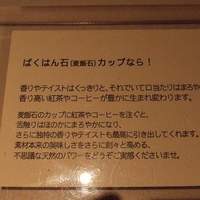 サンタ・マリア・ノヴェッラ・ティサネリーア 京都店 - ばくはん石