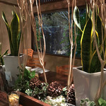 とんかつ金の豚 - 窓の向こうに滝（人工）が見えます。