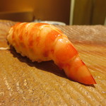鮨 さいとう - 車海老握り　-離れ-