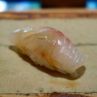一心鮨 光洋 - ［2015/12］お決まり(8640円)・鳴門産真鯛昆布締めの握り