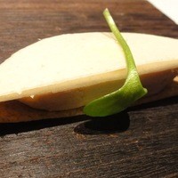 カセント - 