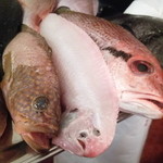 ブラッスリー・ヴィロン - 本日のさかな ドーバーソール(中) 2015.7