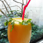 マッシモ・マリアーニ - マンゴージュース（氷なし）