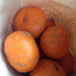 そば屋 案山棒 - 無農薬みかんなども販売