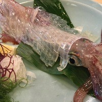 河太郎 中洲本店 - まだまだ元気ないか