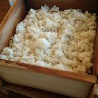 浅草むぎとろ 本店 - 