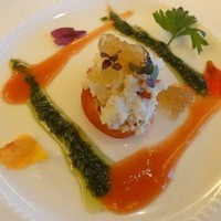 ウィンザー アウト オブ アフリカ - 