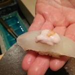 寿しの吉乃 - 2015年11月