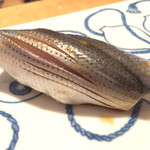 一心鮨 光洋 - コハダ