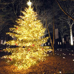 ブレストンコート ユカワタン - 2015/12月 
      毎年恒例の「星のや」訪問
      
      そして
      地元「レフェルヴェソンス」の紹介で初訪問！
      
      詳細はアメーバブログをどうぞ！